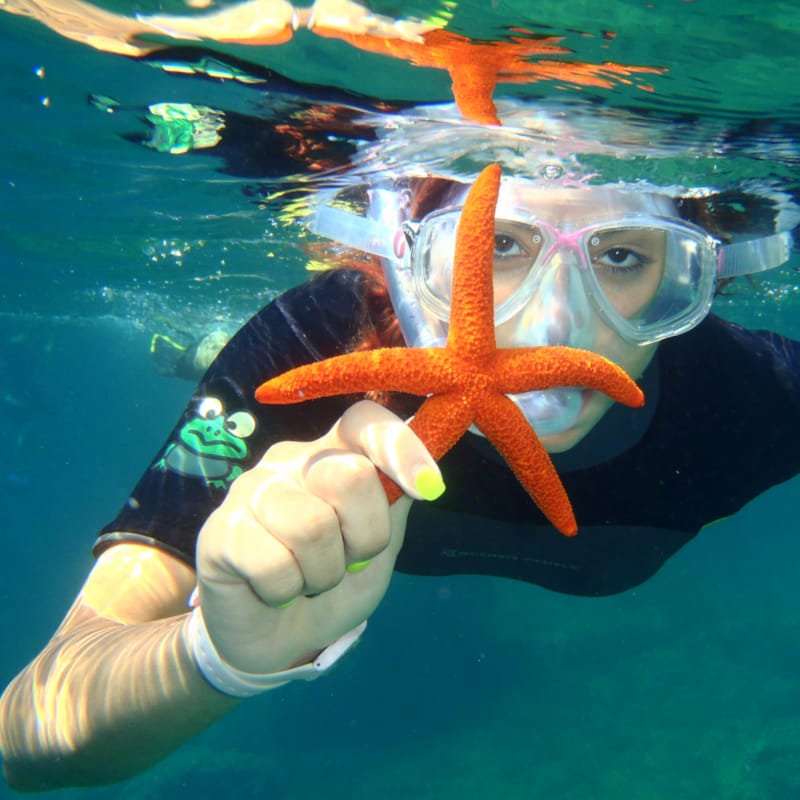 marmari-diving-snorkeling-experience
