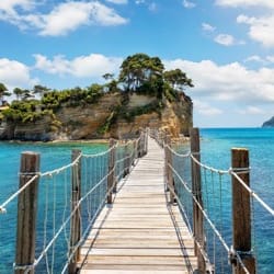 shutterstock_1446177176