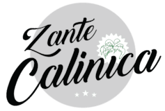 Zante Calinica Apart