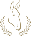 White Donkey Hotel
