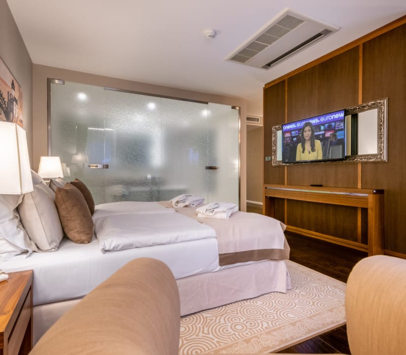 Rooms-_-Suites-12