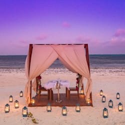 amani-restaurant-reception-beach-dinner-2021-72-6