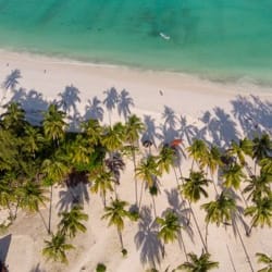 shutterstock_1912618066-3