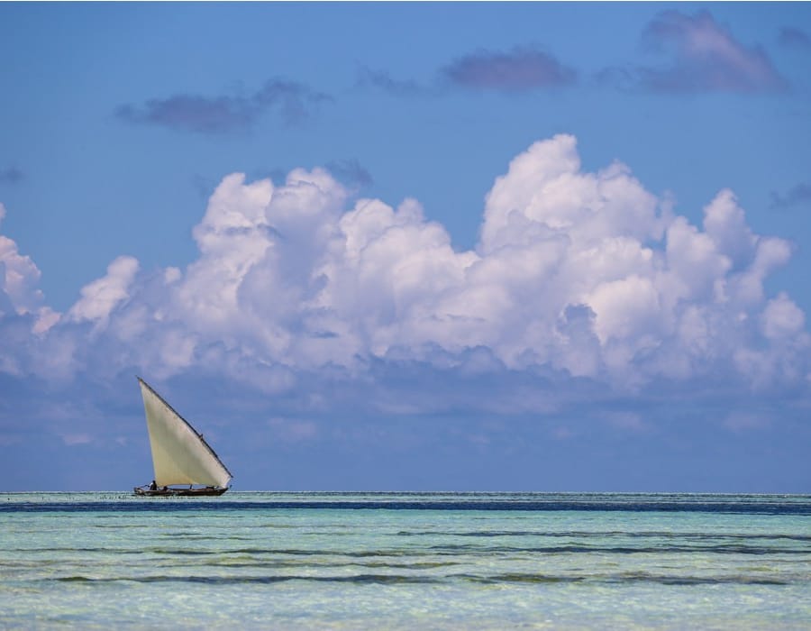 shutterstock_1943992471