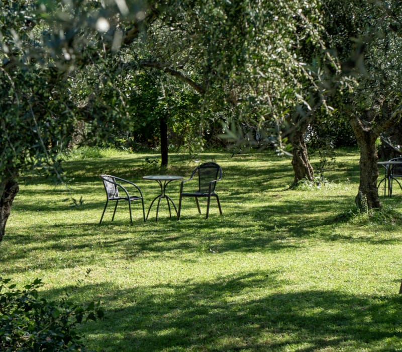 castelli-olive-grove-garden-1