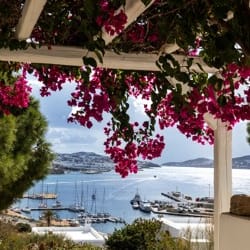 Rhenia Hotel view