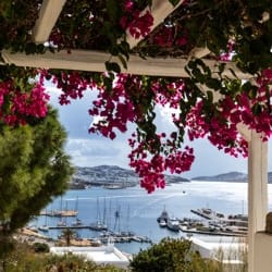 Rhenia Hotel view